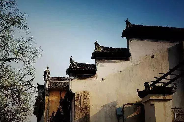 财政部：我国农业保险保费规模保持全球第一，对农业有何益处？